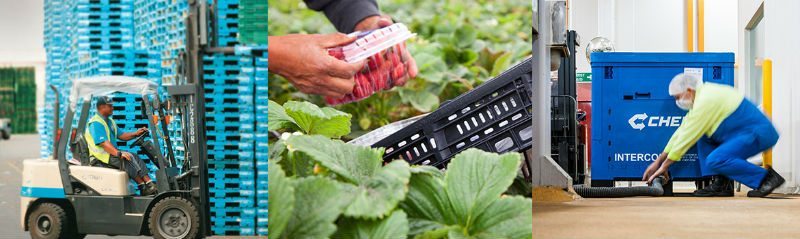 Brambles Establishes BXB Digital to Break Into IoT Market 1 image Brambles Establishes BXB Digital to Break Into IoT Market 1 image