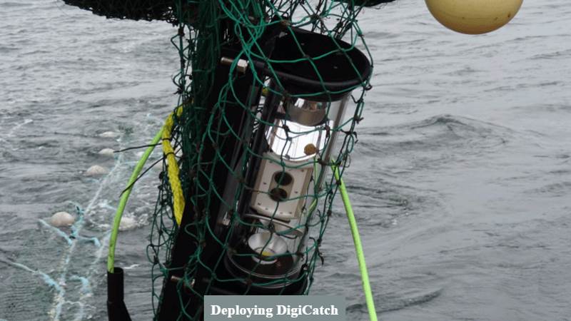 SmartCatch: Net Management for Reducing Bycatch 3 image