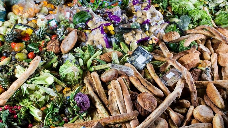 Winnow: The Smart Trashcan for Reducing Food Waste 3 image Winnow: The Smart Trashcan for Reducing Food Waste 3 image