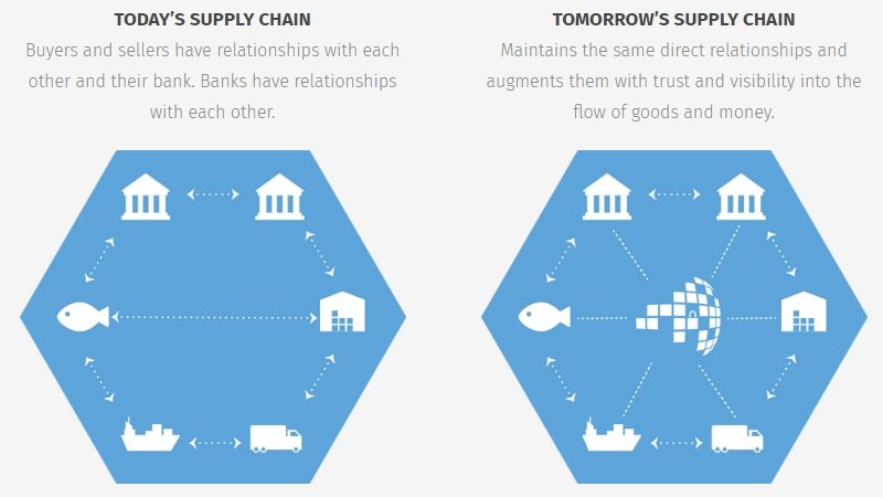 Skuchain: Global Trade for the 21st Century 5 image