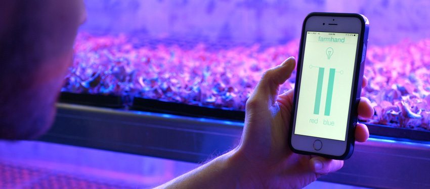 Agtech IoT startup Freight Farms raises $7.3M Series B 2 image Agtech IoT startup Freight Farms raises $7.3M Series B 2 image
