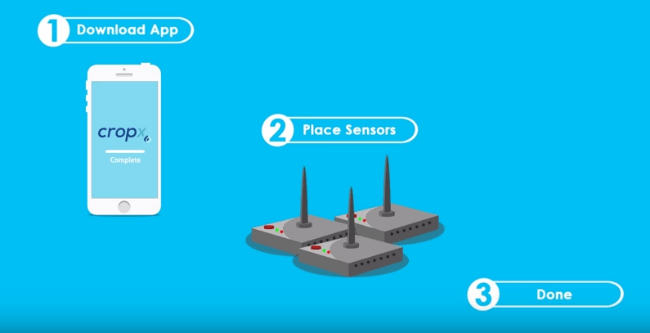 Irrigation Soil Sensors: CropX