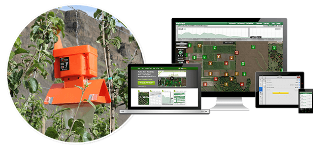 Wireless Pest Monitoring: MyTraps