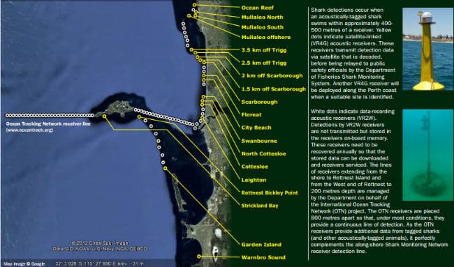 Smart Shark Monitoring System