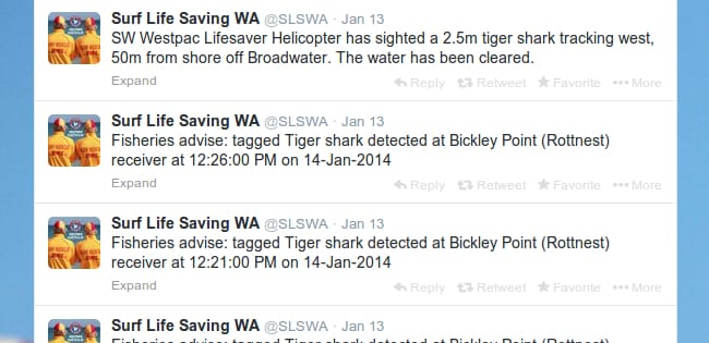 Western Australia is using Twitter to help reduce shark attacks on their beaches