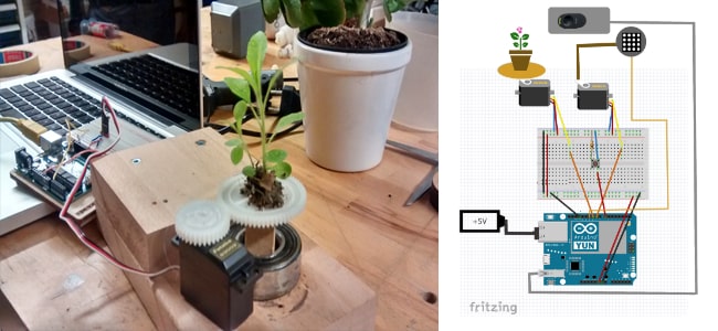 Social Media Flowerpot: The Selfie Plant