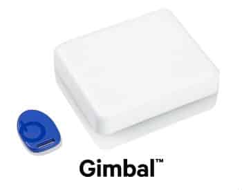 Gimbal