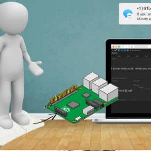 WIIBALANCE BOARD AND RASPBERRY PI SMART SCALE