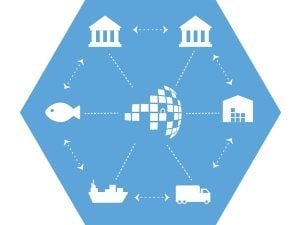 Skuchain: Global Trade for the 21st Century