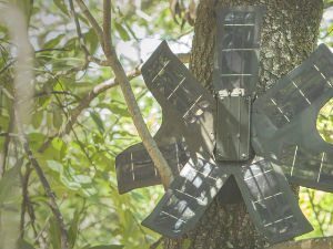 Rainforest Connection: Solar-powered Rainforest Listening Devices