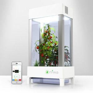 Smart Greenhouse | 2018 Guide to best Sensors and Remote ...