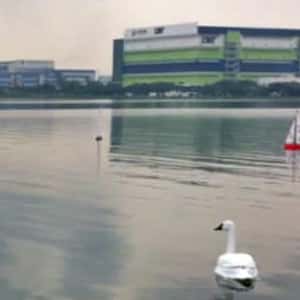 Robotic Swan