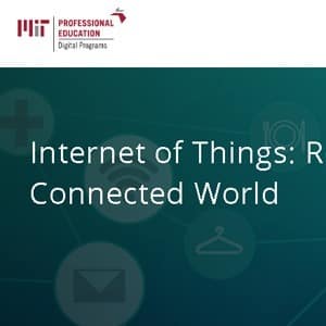 MIT ROADMAP TO THE CONNECTED WORLD COURSE ​