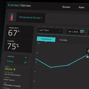 Wireless Temperature and Humidity Sensors Image