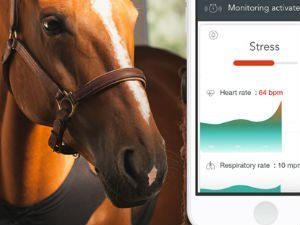 Equisense Care: Horse Health Tracking