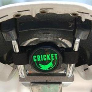 The Cricket Image