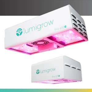 Lumigrow product