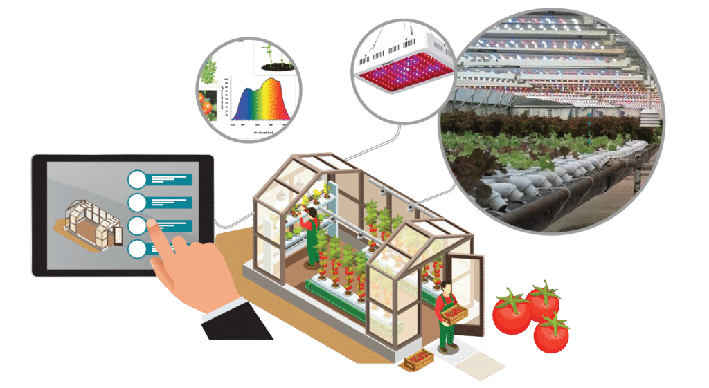 Smart Greenhouse Lighting Inforgaphic