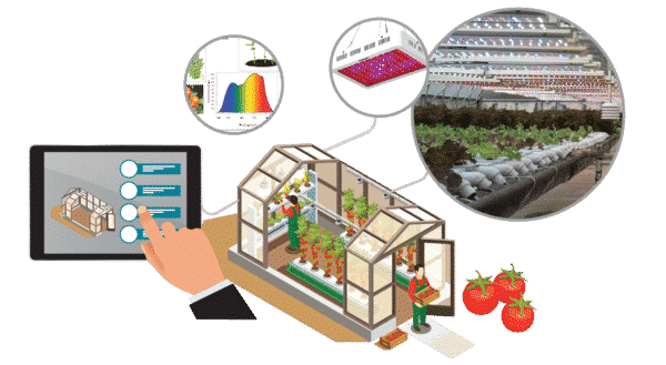 2019 Guide to best Sensors and Remote Automated ... Circuit Diagram