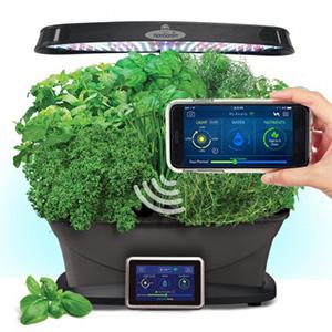 AeroGarden Bounty Wifi Image