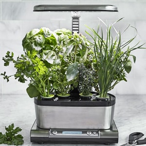 AeroGarden Harvest Elite WiFi Image