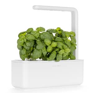 Click & Grow Smart Garden 3 Image