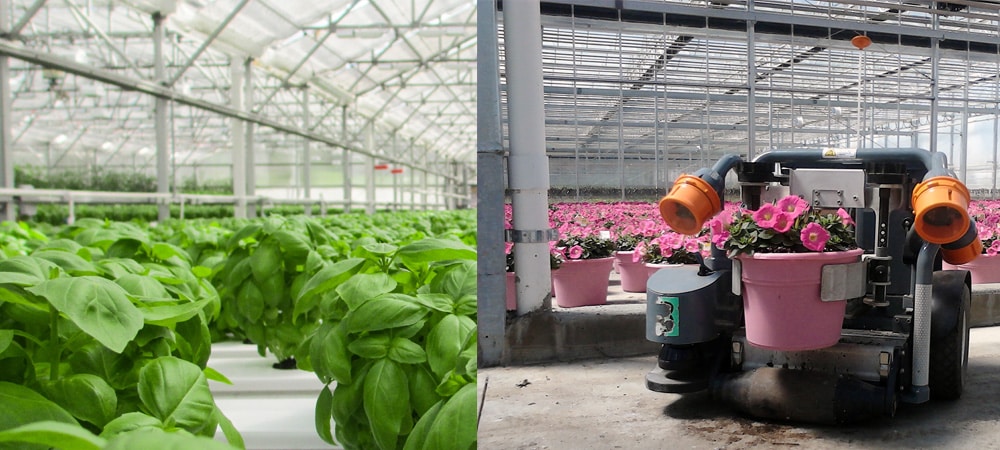 Indoor greenhouse