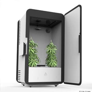 Leaf Grow Box