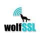 wolfSSL Logo