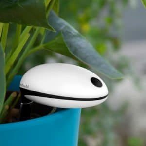 Wifi Plant Watering Sensor System Image