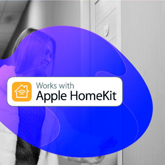 Homekit Lock Icon