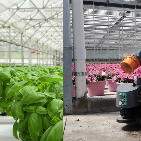 Indoor greenhouse