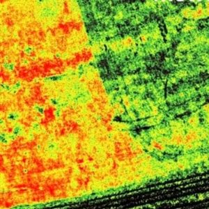 Multispectral-farm